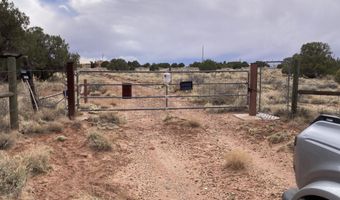 22 COUNTY ROAD N9151, Concho, AZ 85924