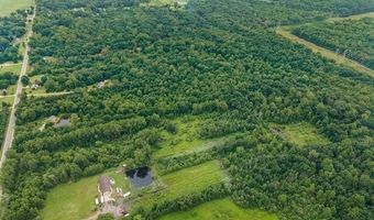 9265 Birch Run Rd, Arbela, MI 48746