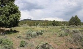 Deer Springs Road, Beatty, OR 97621