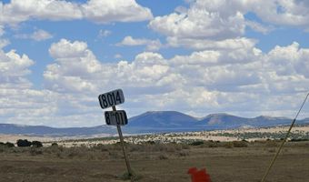 52 County Road 8010, Concho, AZ 85924