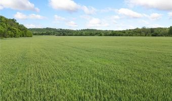 TBD Highway 412 & WPA Road, Alpena, AR 72611