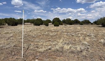 11 Cxx W Old Rte 66, Ash Fork, AZ 86320