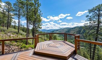 1292 Skyline Dr, Bayfield, CO 81122