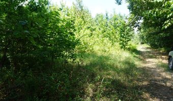 000 Stokes Rd, Bald Knob, AR 72010
