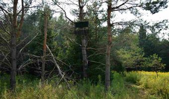 9537 LAKEVIEW, Alanson, MI 49706