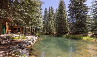 367 Boletus Creek Dr, Bayfield, CO 81122