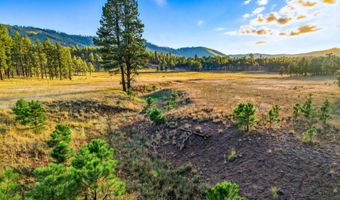 1 A FOREST ROAD 26, Alpine, AZ 85920