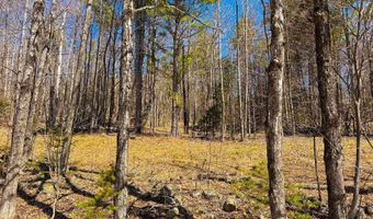TM 407 L 35 Shem Valley Road, Alexandria, NH 03222