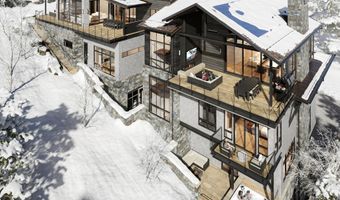 46 Red Spruce Ln 4, Beaver Creek, CO 81620