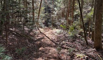 18 6 Acres Cave Branch Rd, Allardt, TN 38504