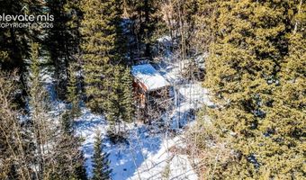 944 Roberts Rd, Alma, CO 80420
