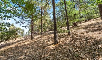 720 Terrace St, Ashland, OR 97520