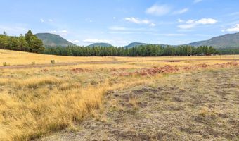 3 County Rd. N2157 Parcel 3, The Meadows Edge, Alpine, AZ 85920