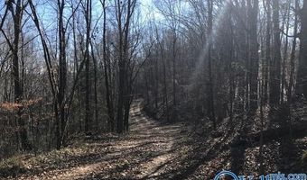 6777 Hwy 207, Anderson, AL 35610