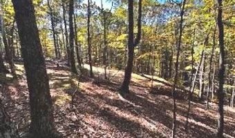 0 LOWER ARKANSAS Rd, Baker, WV 26801