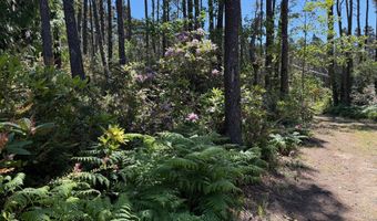 87219 BEACH Ln, Bandon, OR 97411