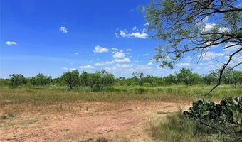 12415 County Road 356, Anson, TX 79501