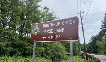 Northrup Creek RD, Birkenfeld, OR 97016
