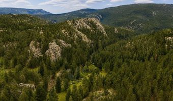 County Road 59, Allenspark, CO 80510