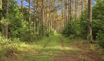 425 Rose Hill Rd, Bentonia, MS 39040