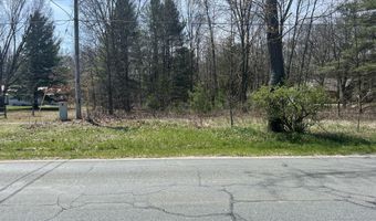 Vl Allegan Dam Road, Allegan, MI 49010