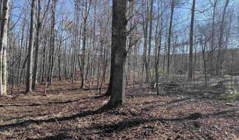 0009 SPRINGHOLLOW Rd Lot 9, Ashville, AL 35953