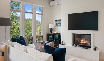 250 Mountain Laurel Dr B, Aspen, CO 81611