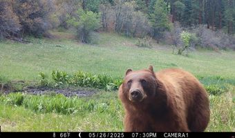 15098 CR 240, Bayfield, CO 81122