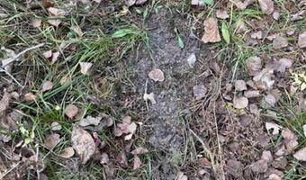 TBD Lane 55 County Road 341, Aurora, MN 55705