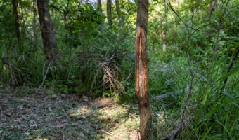 28 Mile Rd, Albion, MI 49224