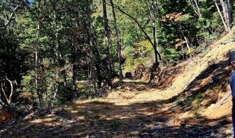 0 Mount Horeb Rd, Amherst, VA 24521