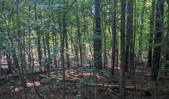 Lot 24 SAVANNAH RIDGE Road, Lincolnton, GA 30817