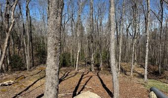 ES71 Twisted Oak Path, Banner Elk, NC 28604
