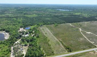 xxx County Hwy 73, Altha, FL 32421