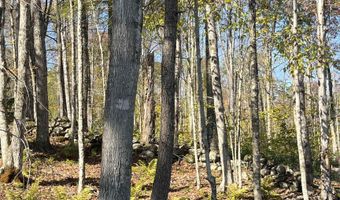 Map 227 Lot 010 Underwood Road, Acworth, NH 03601