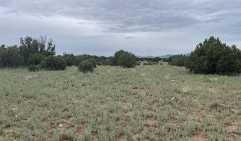 68 County Road 8620, Concho, AZ 85924