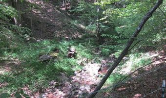 43 Sanctuary Ln, Alderson, WV 24910