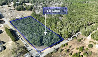 Lot 1 C J Laird Rd, Argyle, FL 32422