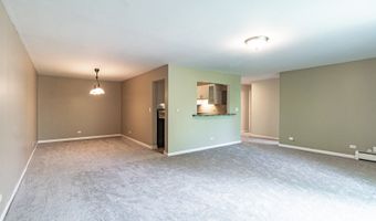 711 E Falcon Dr 201, Arlington Heights, IL 60005