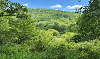 2636 Murphy Hill Rd, Andes, NY 13731