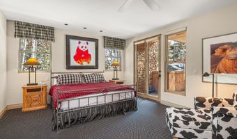 990 E Hopkins Ave, Aspen, CO 81611