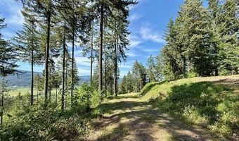 Alder Branch RD, Springfield, OR 97478