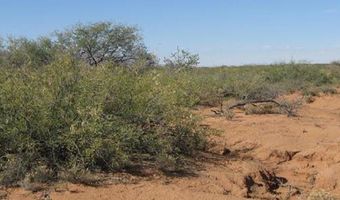 13 Ac Apache Pass Rd, Bowie, AZ 85605