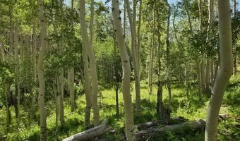 40 Acres Summit Mountain Rd, Brian Head, UT 84719