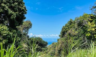 87-2721 Hawaii Belt Rd, Captain Cook, HI 96704