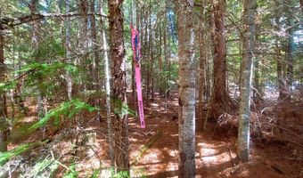 NKA Wandering Wolf Ridge Lot 3, Clark Fork, ID 83811