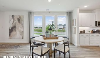 1030 Bristleleaf Way, Allen, TX 75013