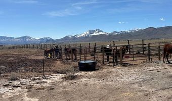 699 Stephens Rd, Challis, ID 83226