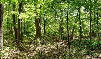 2905 N Lake Pleasant Rd, Arcadia, MI 48412