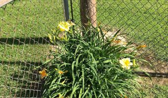 912 N Hickory St, Bald Knob, AR 72010
